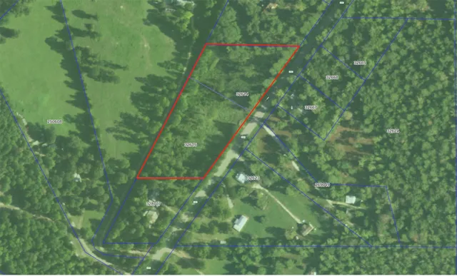 a map view of a forest