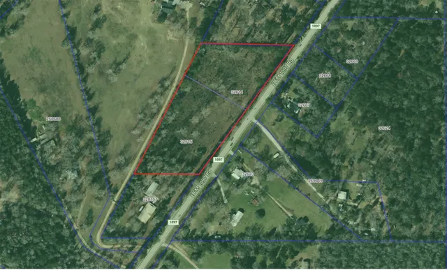 a view of a lush green forest with lots of trees