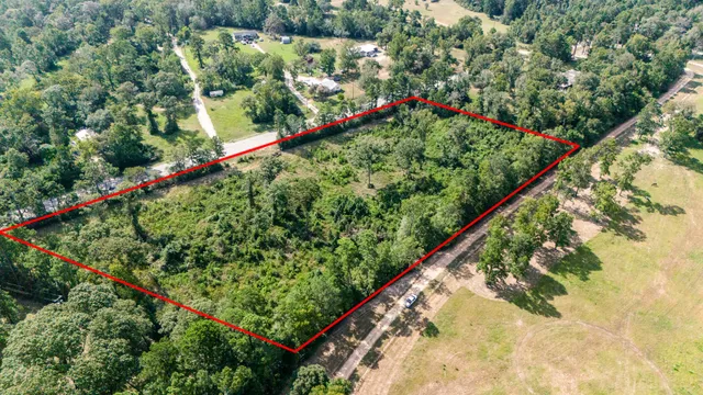 a green field with flowers in the background
