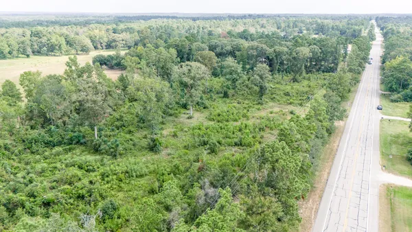 a view of a forest with a street