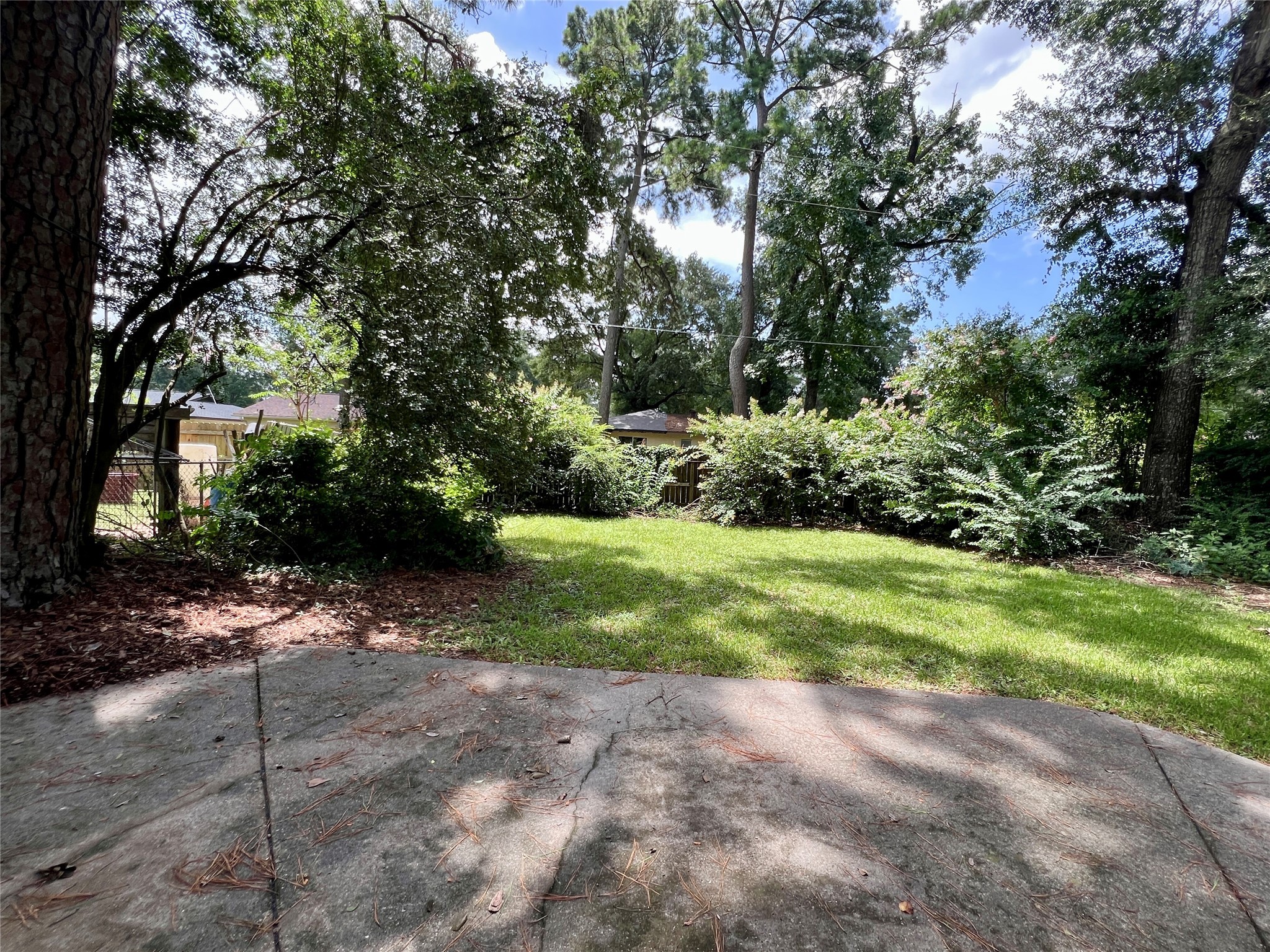 307 Jill Street Conroe, TX 77303 - Photo 19 of 20 a view of a yard with plants and trees