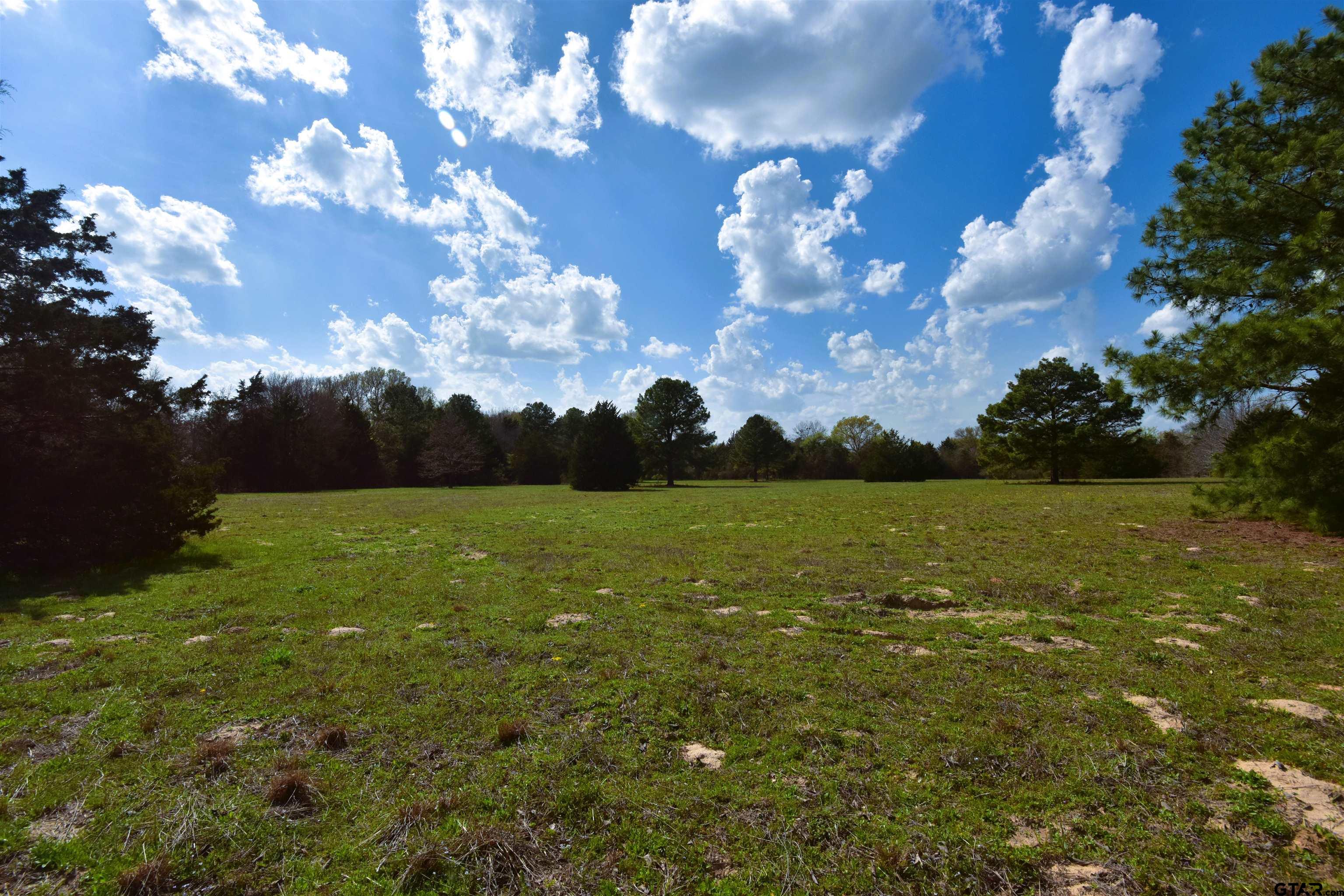 3220 Quitman Tx 75783 Quitman, TX 75783 - Photo 5 of 10 a view of lake with green space