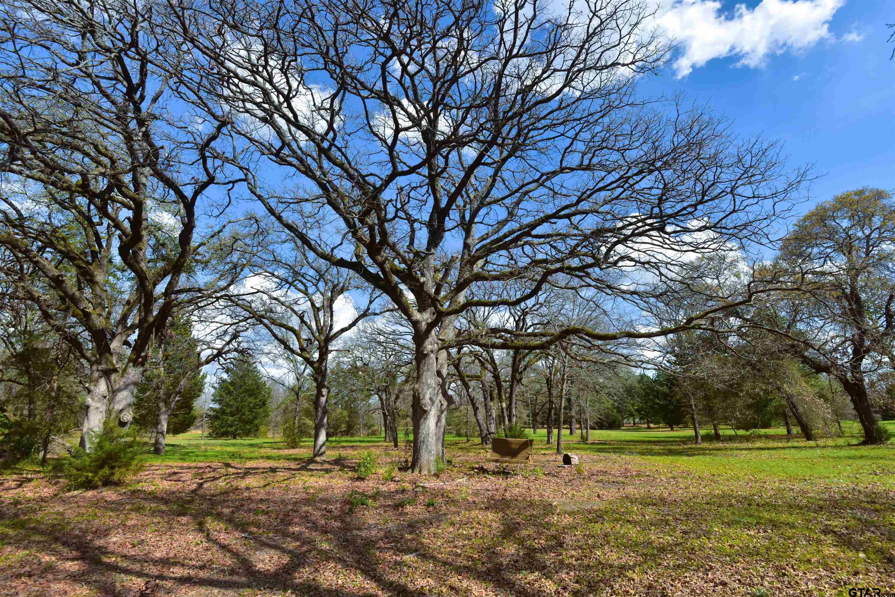3220 Quitman Tx 75783 Quitman, TX 75783 - Photo 8 of 10 a big yard with lots of trees