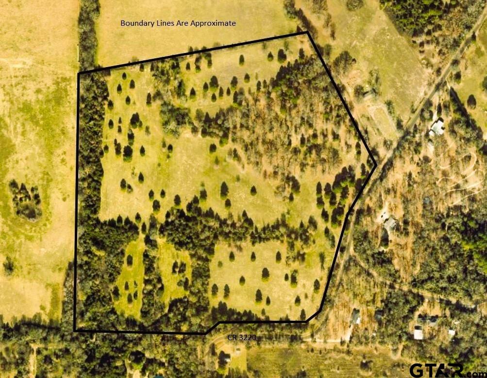 3220 Quitman Tx 75783 Quitman, TX 75783 - Photo 10 of 10 a view of shower and tree