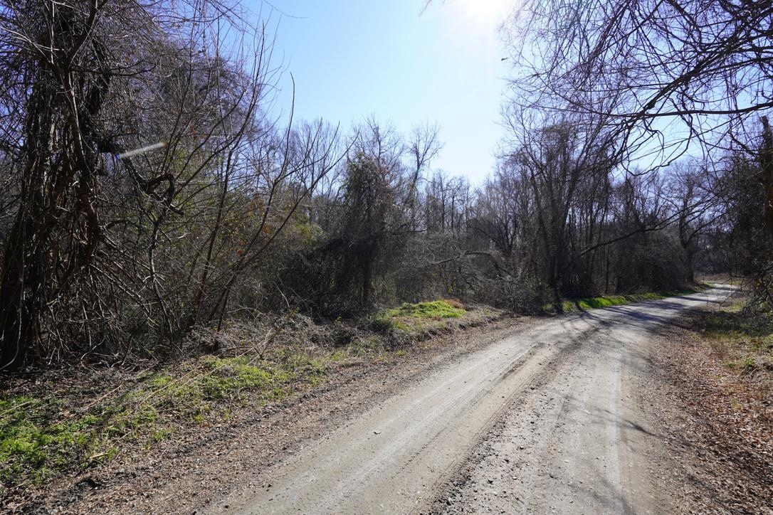 0 Gene Fleming Road Iva, SC 29655 - Photo 11 of 33