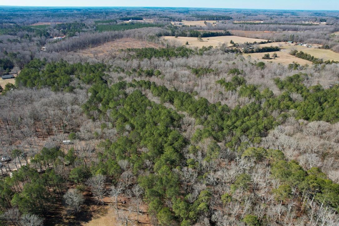 0 Gene Fleming Road Iva, SC 29655 - Photo 17 of 33