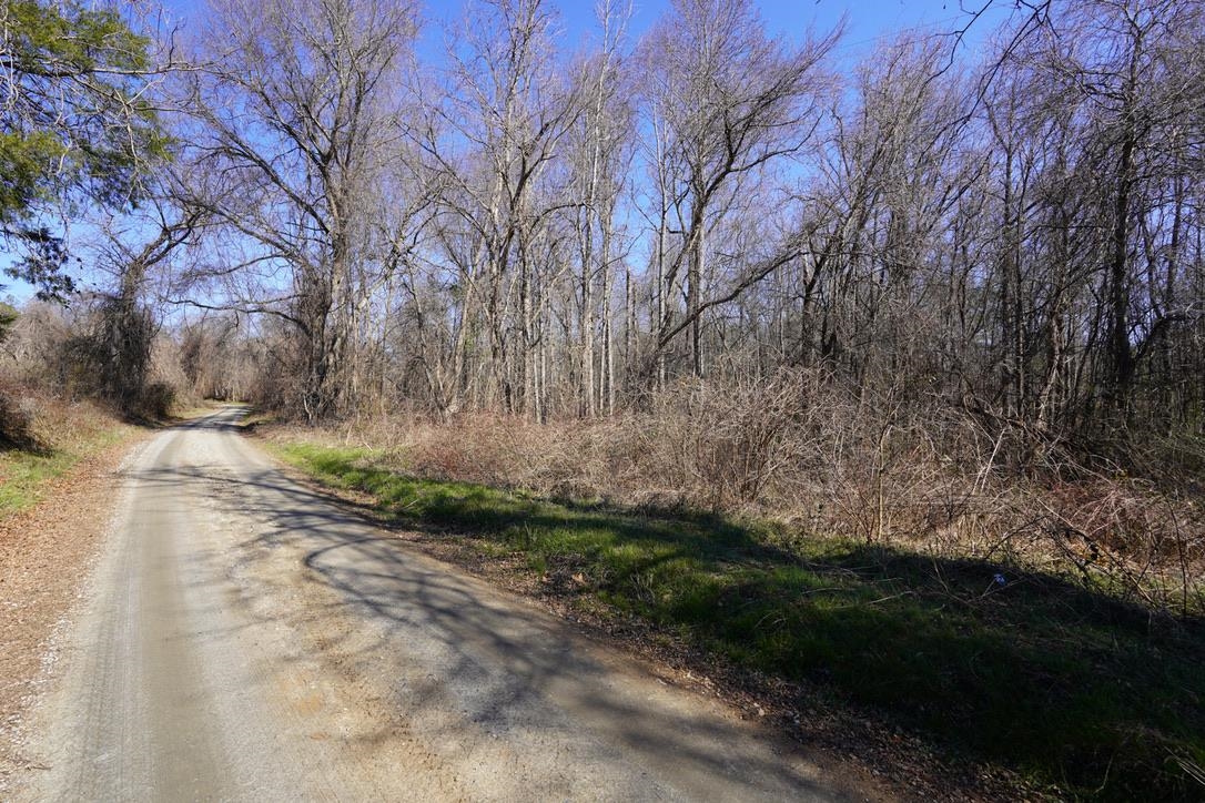 0 Gene Fleming Road Iva, SC 29655 - Photo 31 of 33