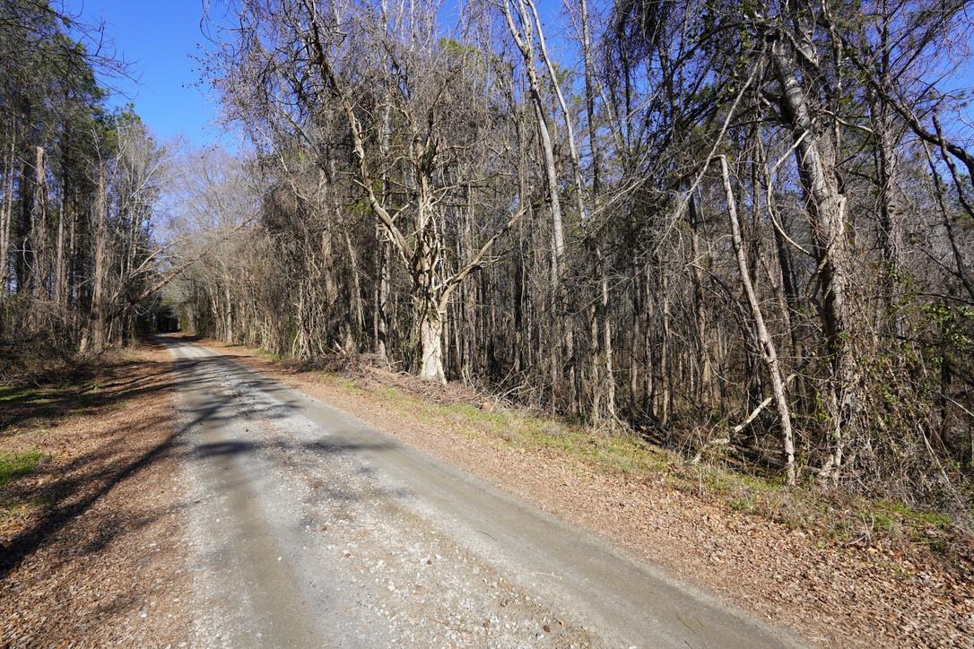 0 Gene Fleming Road Iva, SC 29655 - Photo 6 of 33