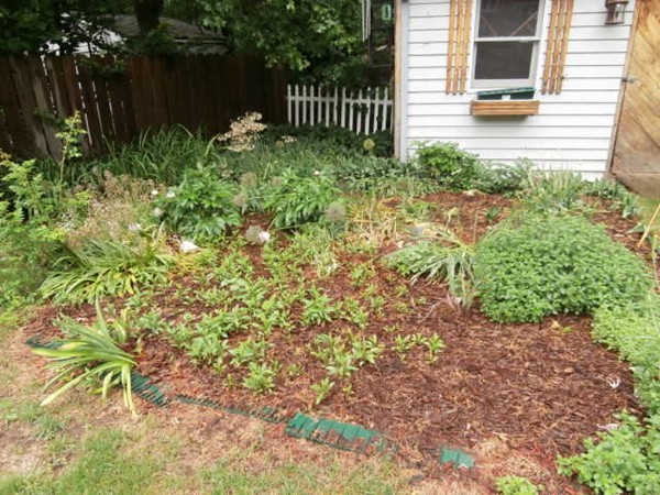 41 Santoro Road Worcester, MA 01606 - Photo 12 of 13 Gallery Image 12