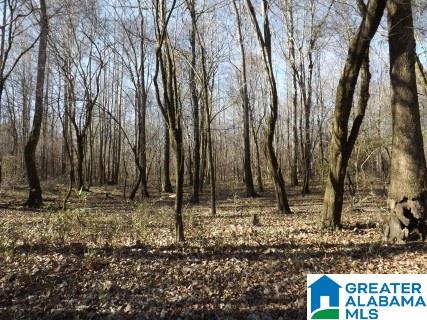 0 Pea Ridge Circle, Unit 424 Union Grove, AL 35175 - Photo 41 of 49