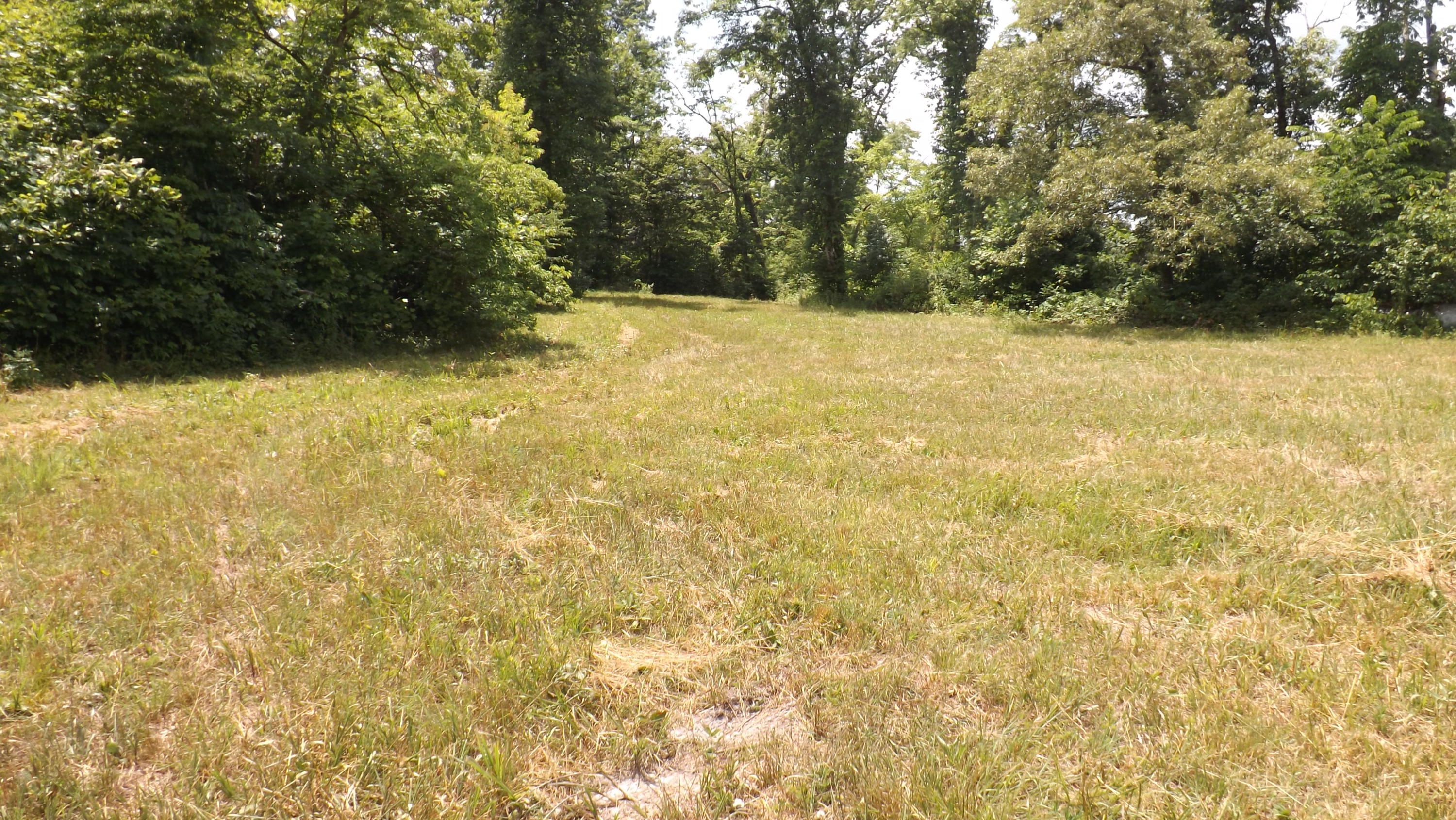 Charlie Lane Speedwell, TN 37870 - Photo 2 of 7 Charlie Ln. acreage2