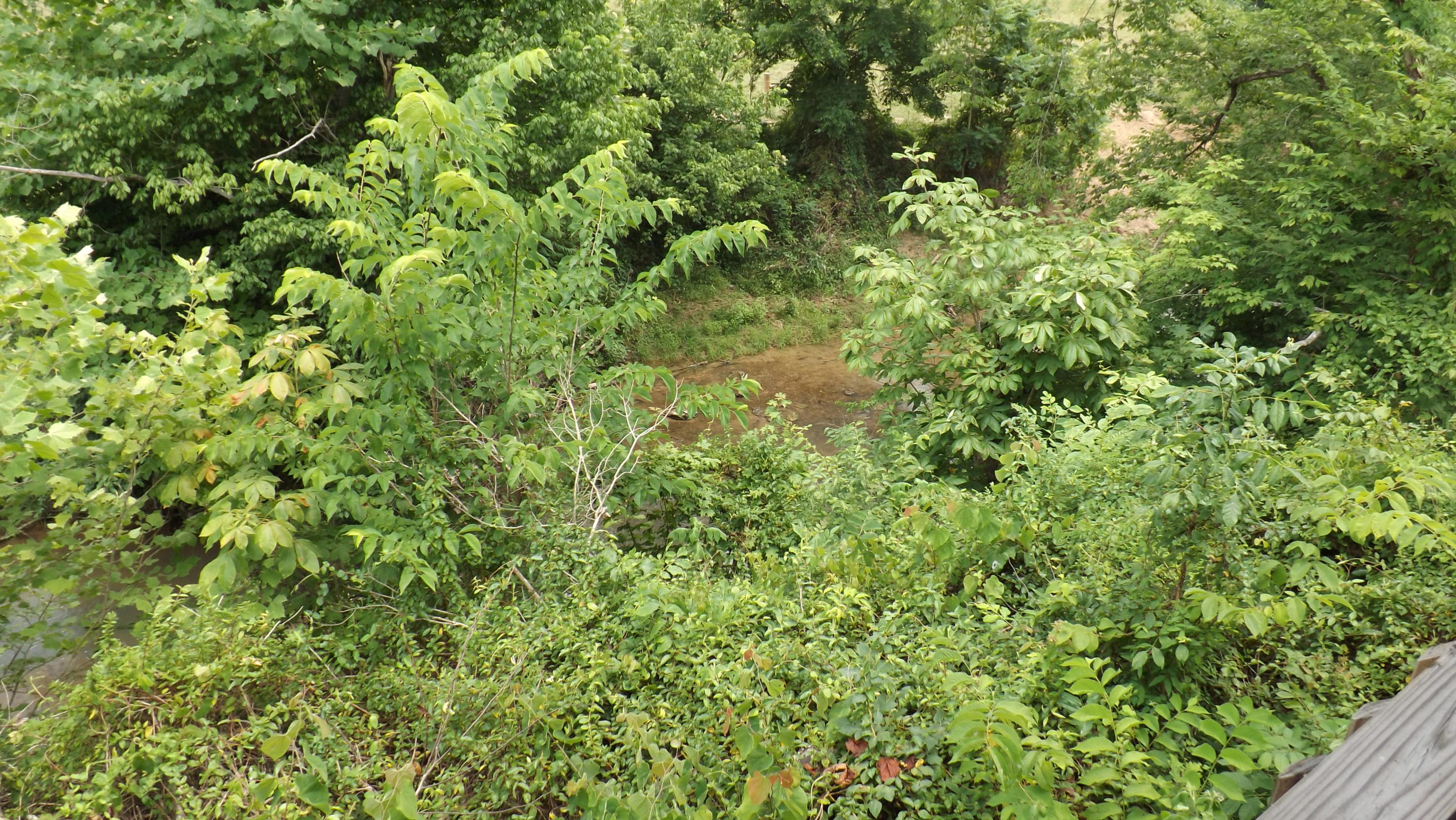 Charlie Lane Speedwell, TN 37870 - Photo 4 of 7 Charlie Ln. creek