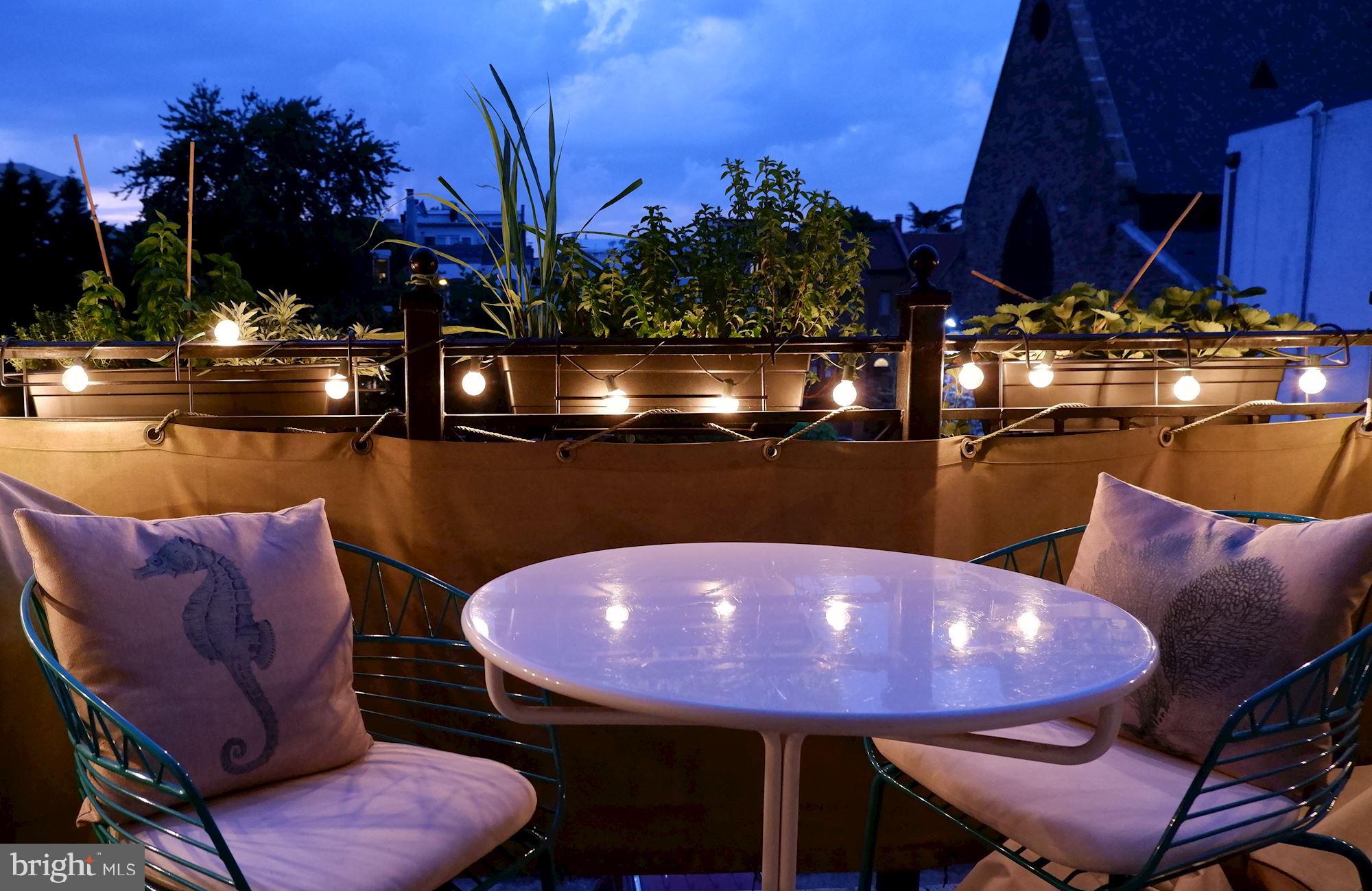 1515 P Street Northwest, Unit 3 Washington, DC 20005 - Photo 17 of 22 Romance on the terrace!