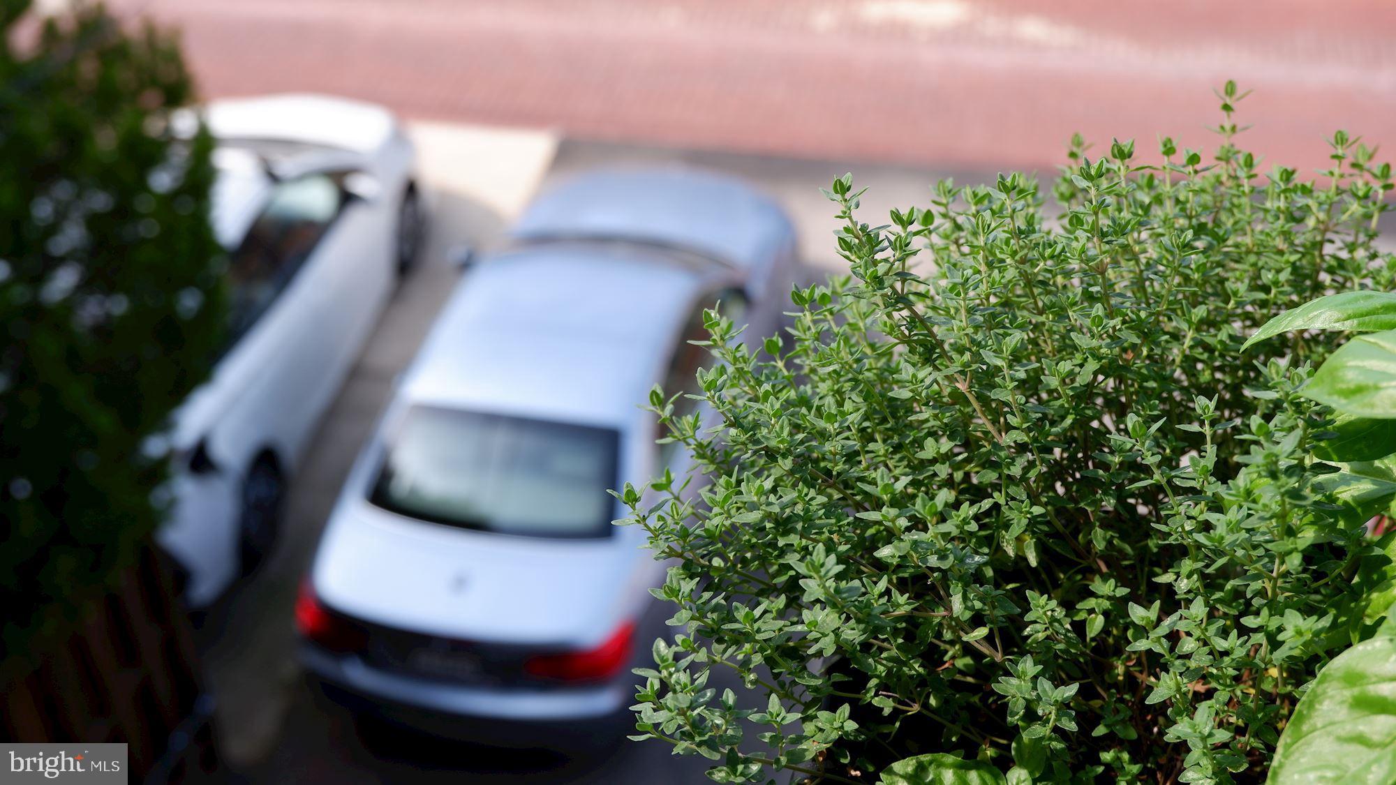 1515 P Street Northwest, Unit 3 Washington, DC 20005 - Photo 18 of 22 Two Assigned Tandem Parking Spaces