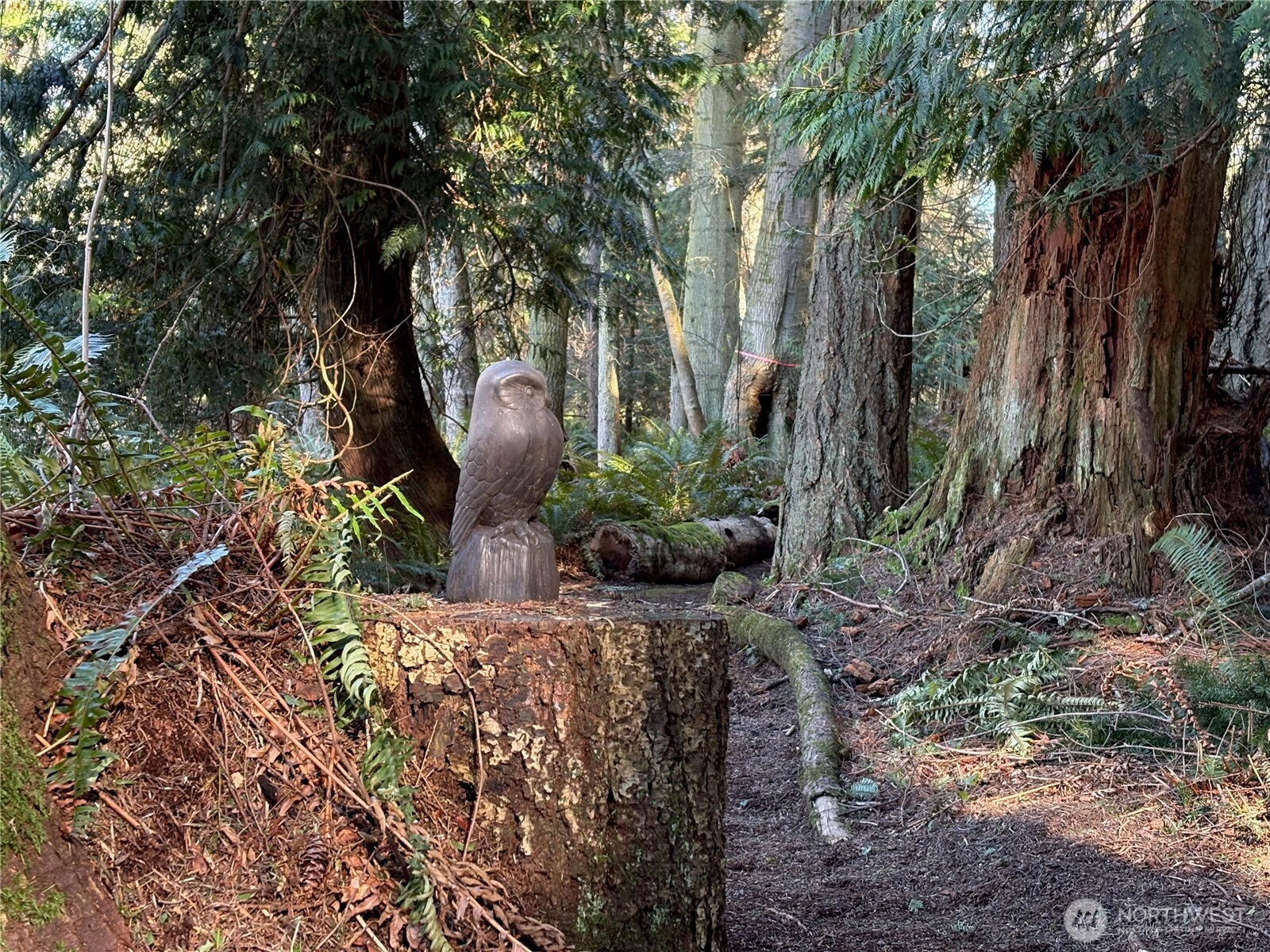 5455 No Name Road Anacortes, WA 98221 - Photo 38 of 40