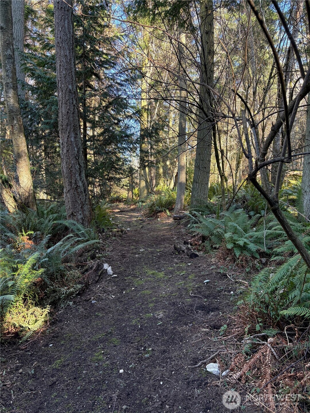 5455 No Name Road Anacortes, WA 98221 - Photo 39 of 40