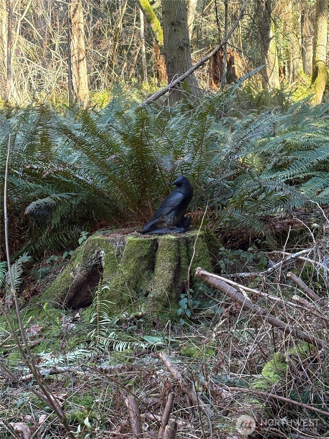 5455 No Name Road Anacortes, WA 98221 - Photo 40 of 40