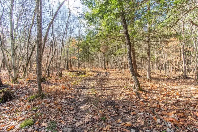 $200,000 | 33793 County Route 46, Theresa, NY 13691