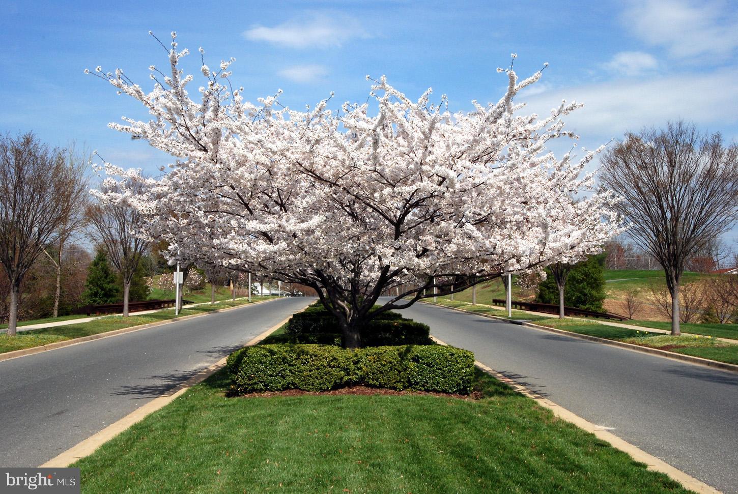 403 Firestone Drive Ashton, MD 20861 - Photo 57 of 58