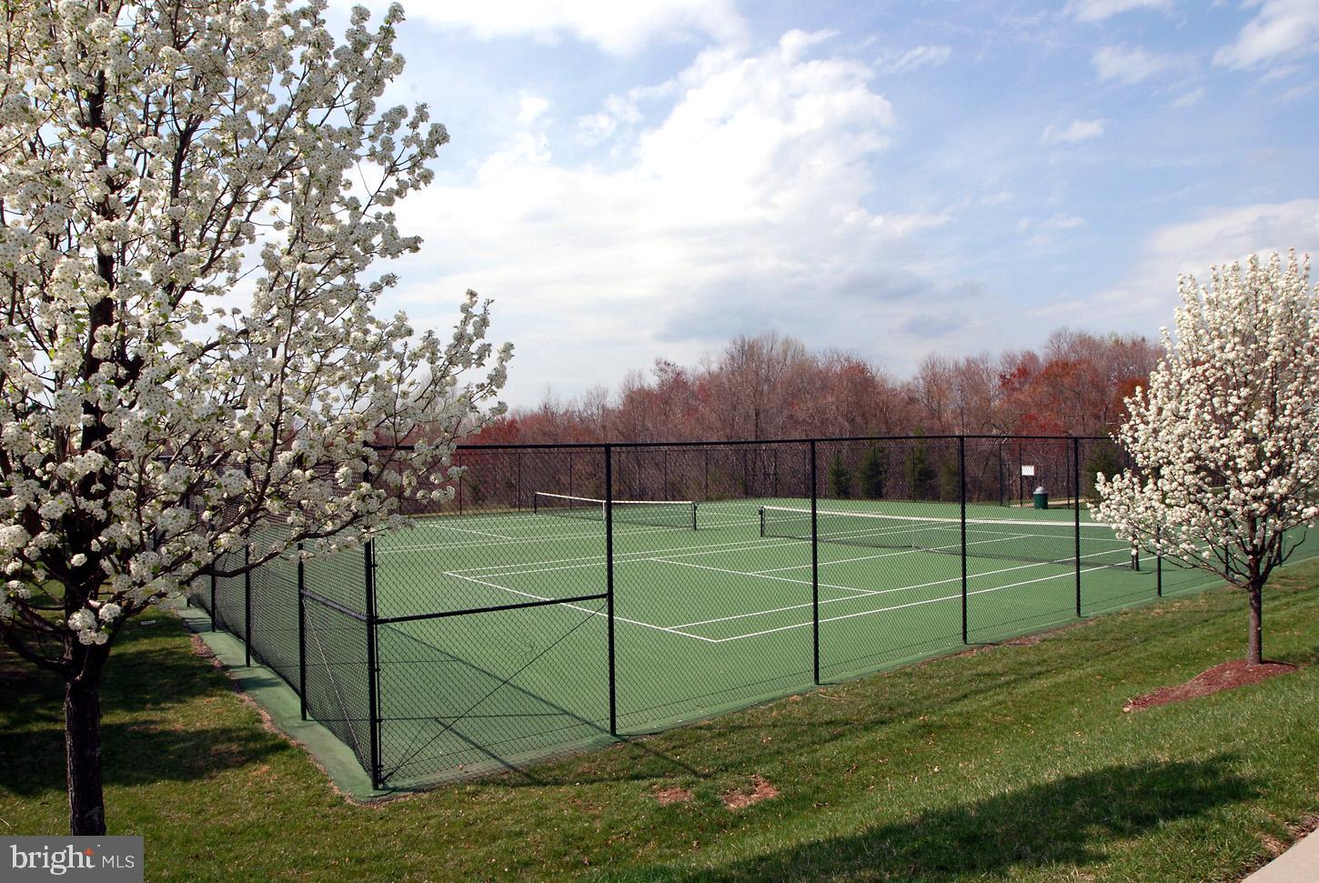 403 Firestone Drive Ashton, MD 20861 - Photo 58 of 58