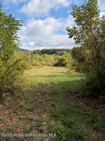 a big yard with lots of green space