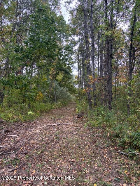 2743 River Road Wysox, PA 18854 - Photo 29 of 32 a big yard with lots of green space
