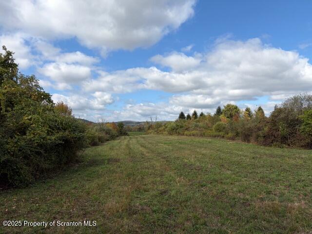2743 River Road Wysox, PA 18854 - Photo 30 of 32 a view of a big yard with lots of trees