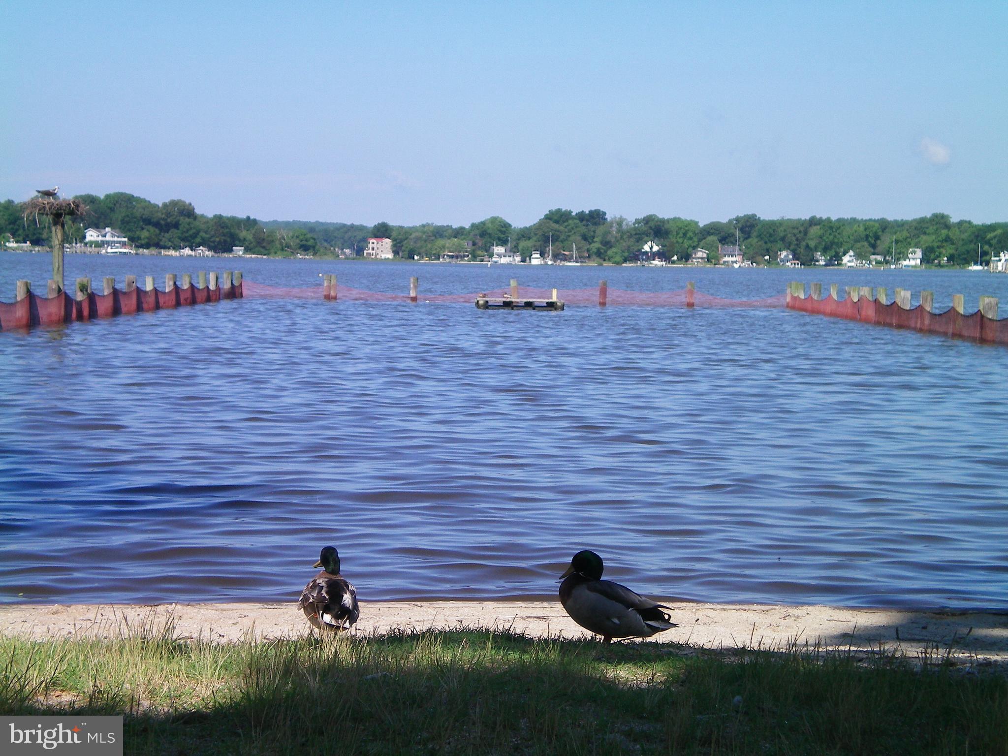 1241 Steamboat Road Shady Side, MD 20764 - Photo 16 of 21 Community beach