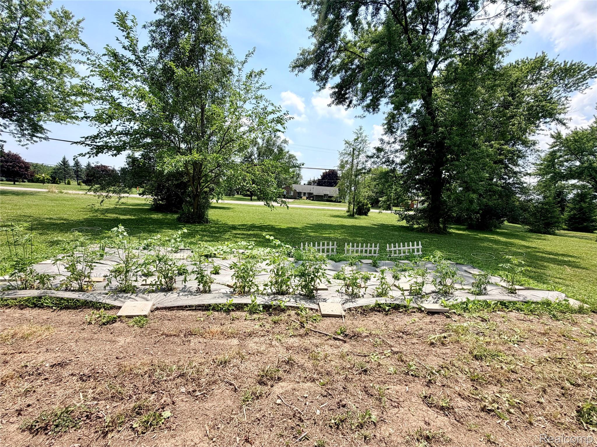 3840 East Dunbar Road Monroe, MI 48161 - Photo 5 of 38 Garden plot with young plants, bordered by a short white picket fence