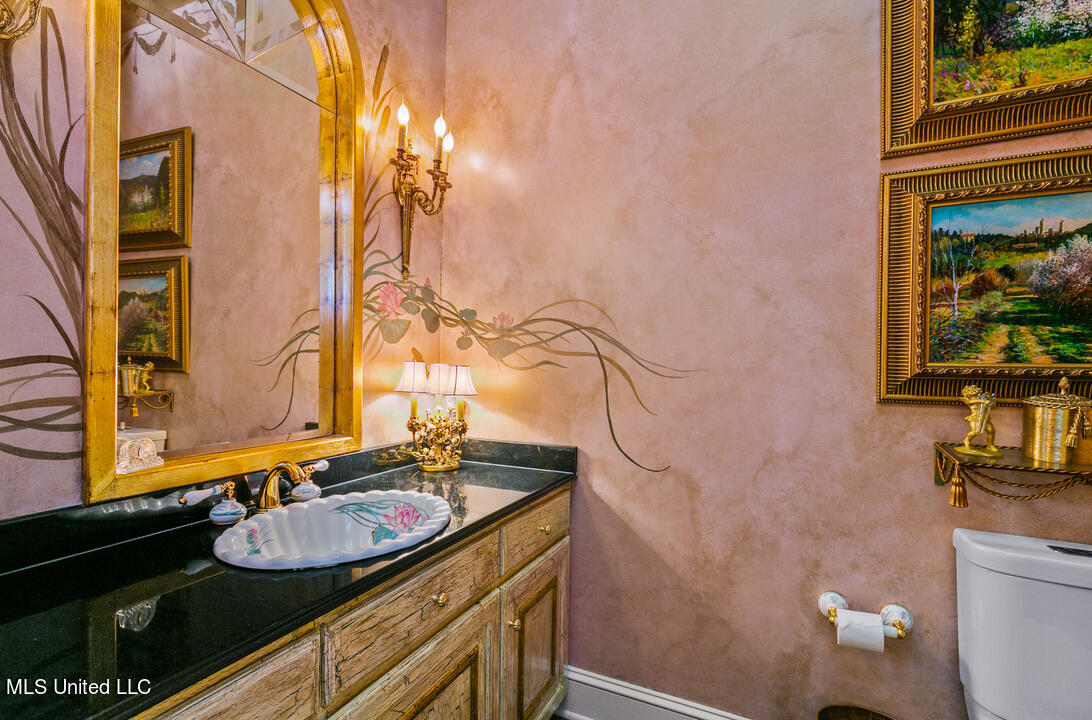 133 Overlook Pointe Drive Ridgeland, MS 39157 - Photo 40 of 93 Powder Room