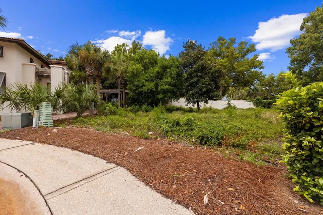 a view of a yard with plants and a fountain