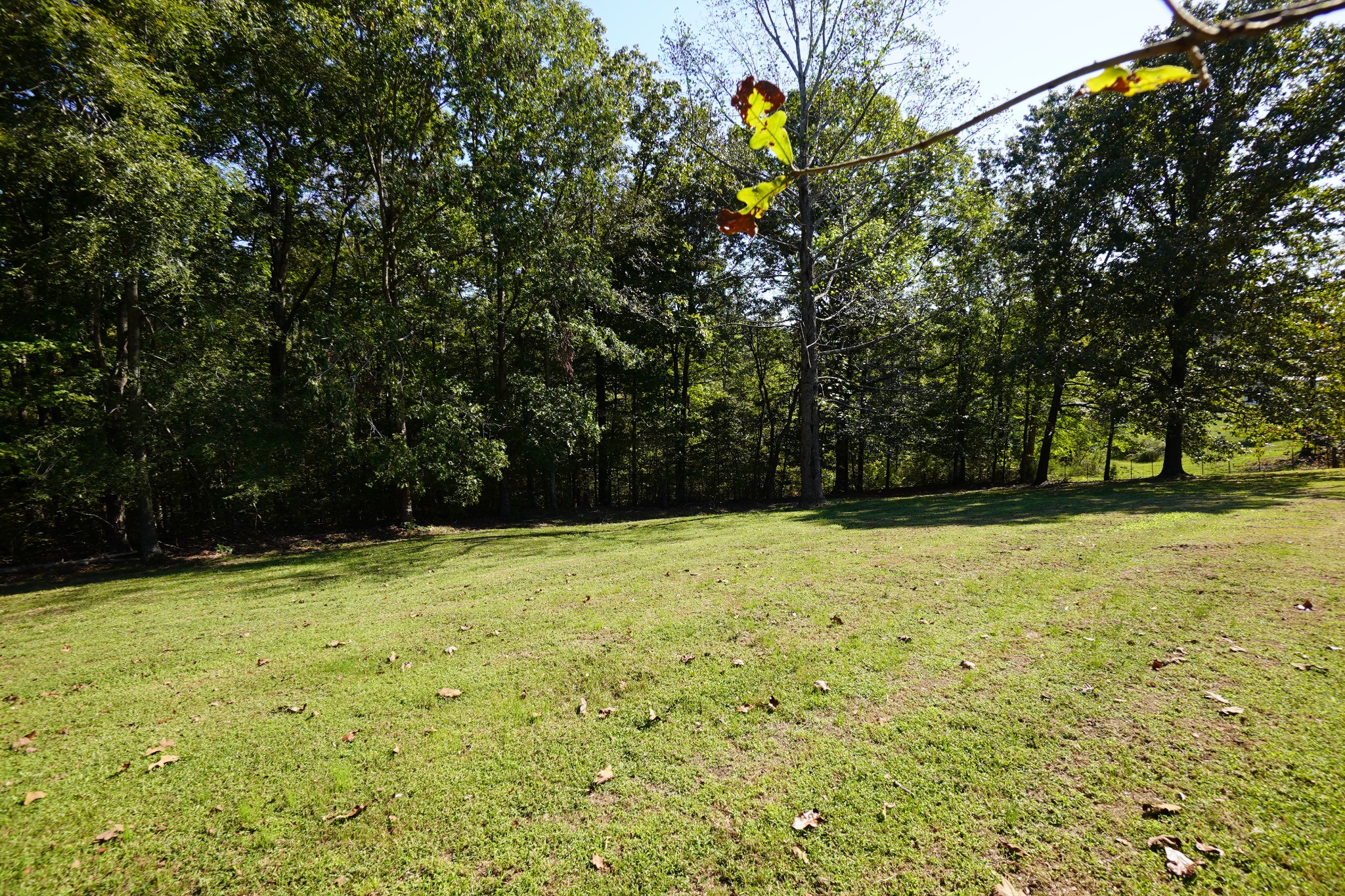 108 Little Pond Road Big Rock, TN 37023 - Photo 17 of 21 Gallery Image 17