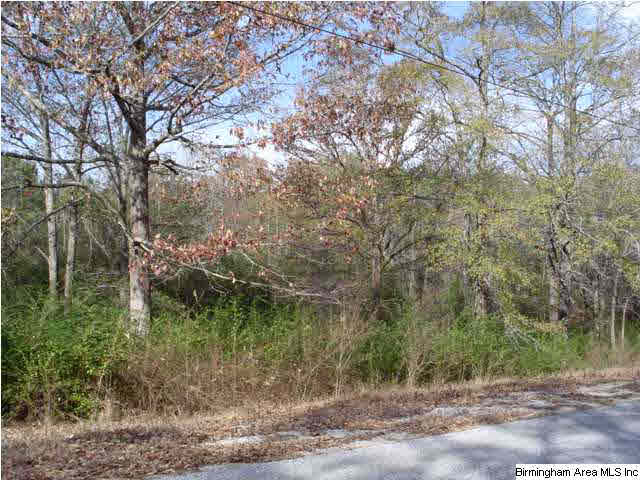 Eureka Road, Unit 1 8 Lincoln, AL 35096 - Photo 5 of 5