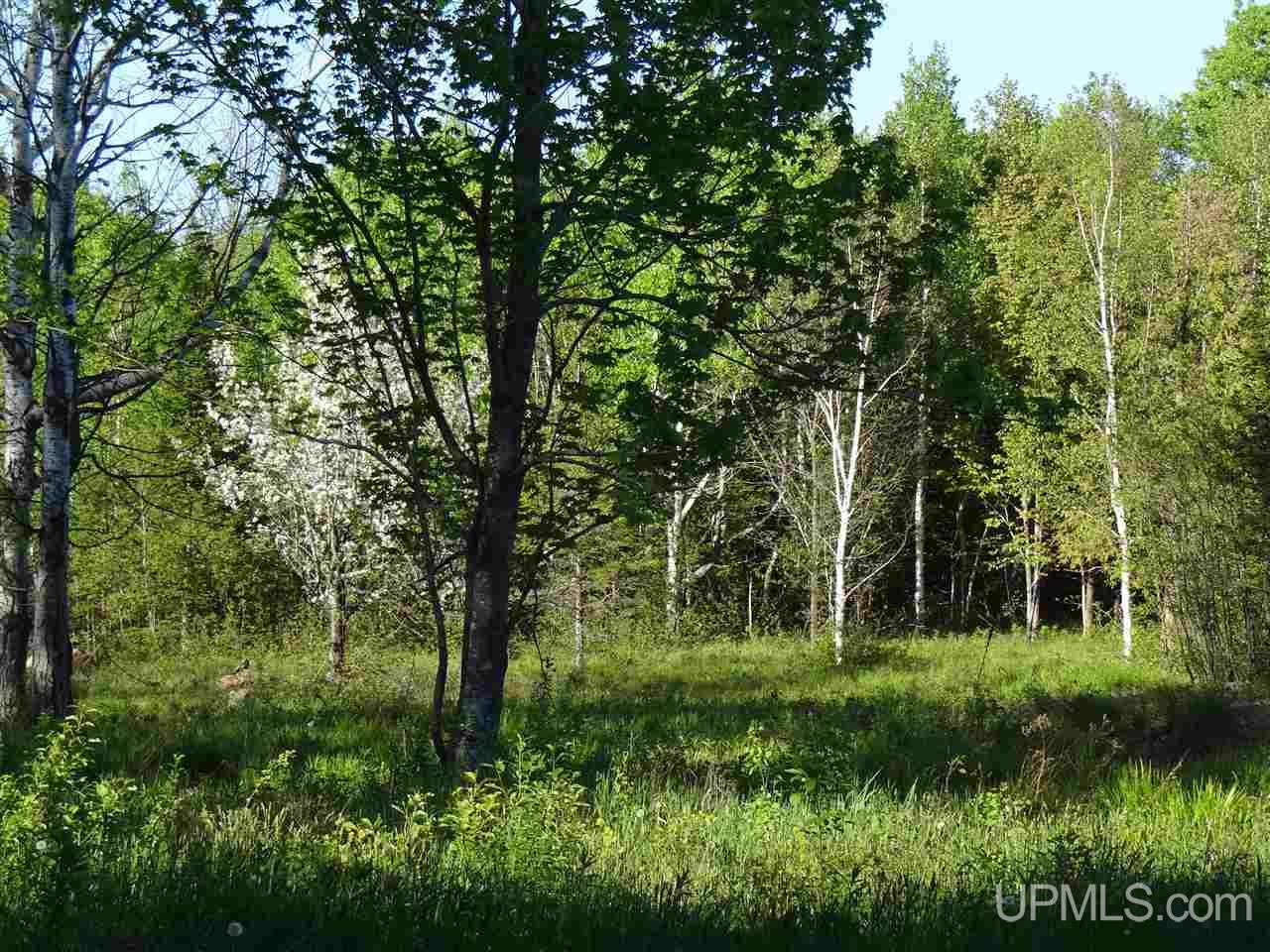 Tbd Oikarainen Road Hancock, MI 49913 - Photo 12 of 18