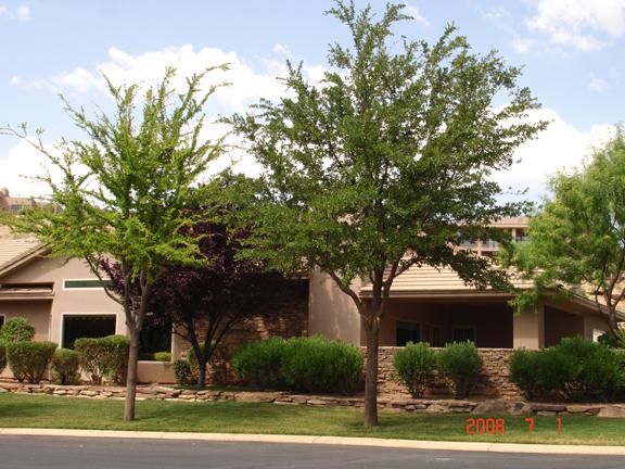 2240 East Cobalt Street, Unit 1 St. George, UT 84790 - Photo 1 of 1 2240 E. Cobalt #1