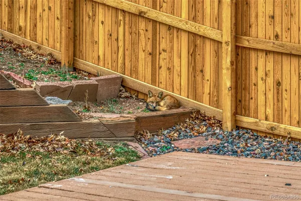 a view of wooden floor with a wooden fence