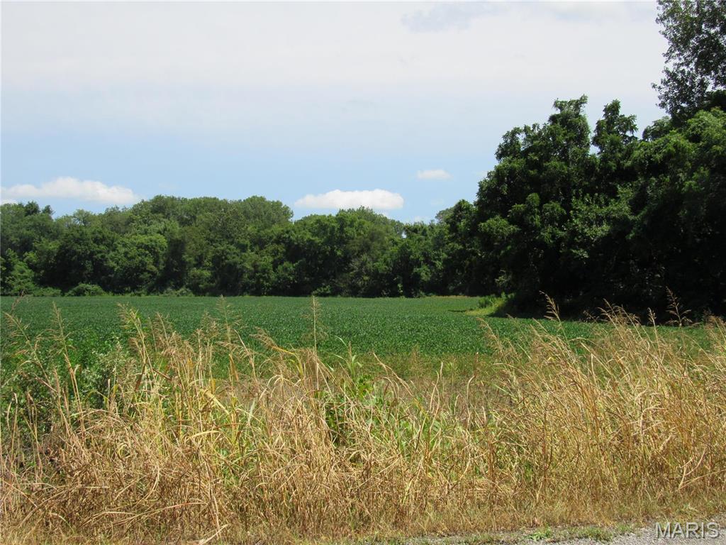 0 Wood Station Road Alton, IL 62002 - Photo 6 of 11