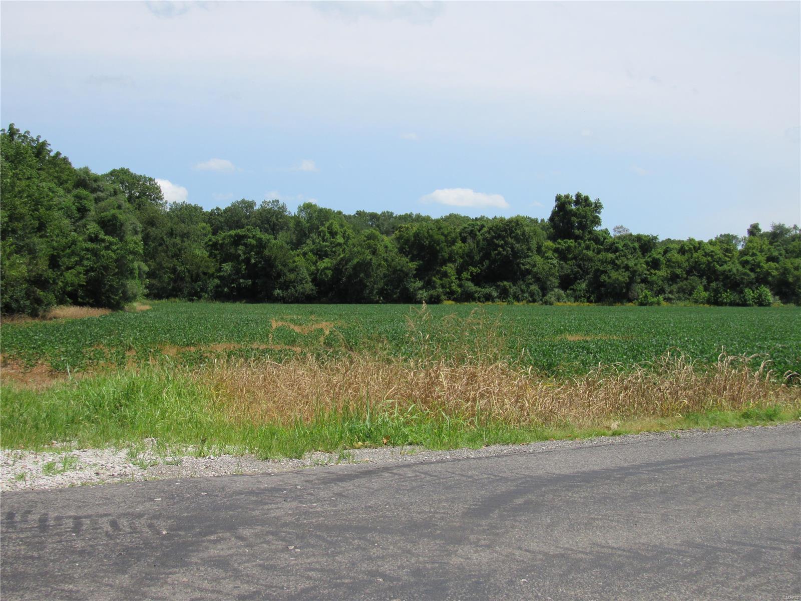 0 Wood Station Road Alton, IL 62002 - Photo 7 of 11