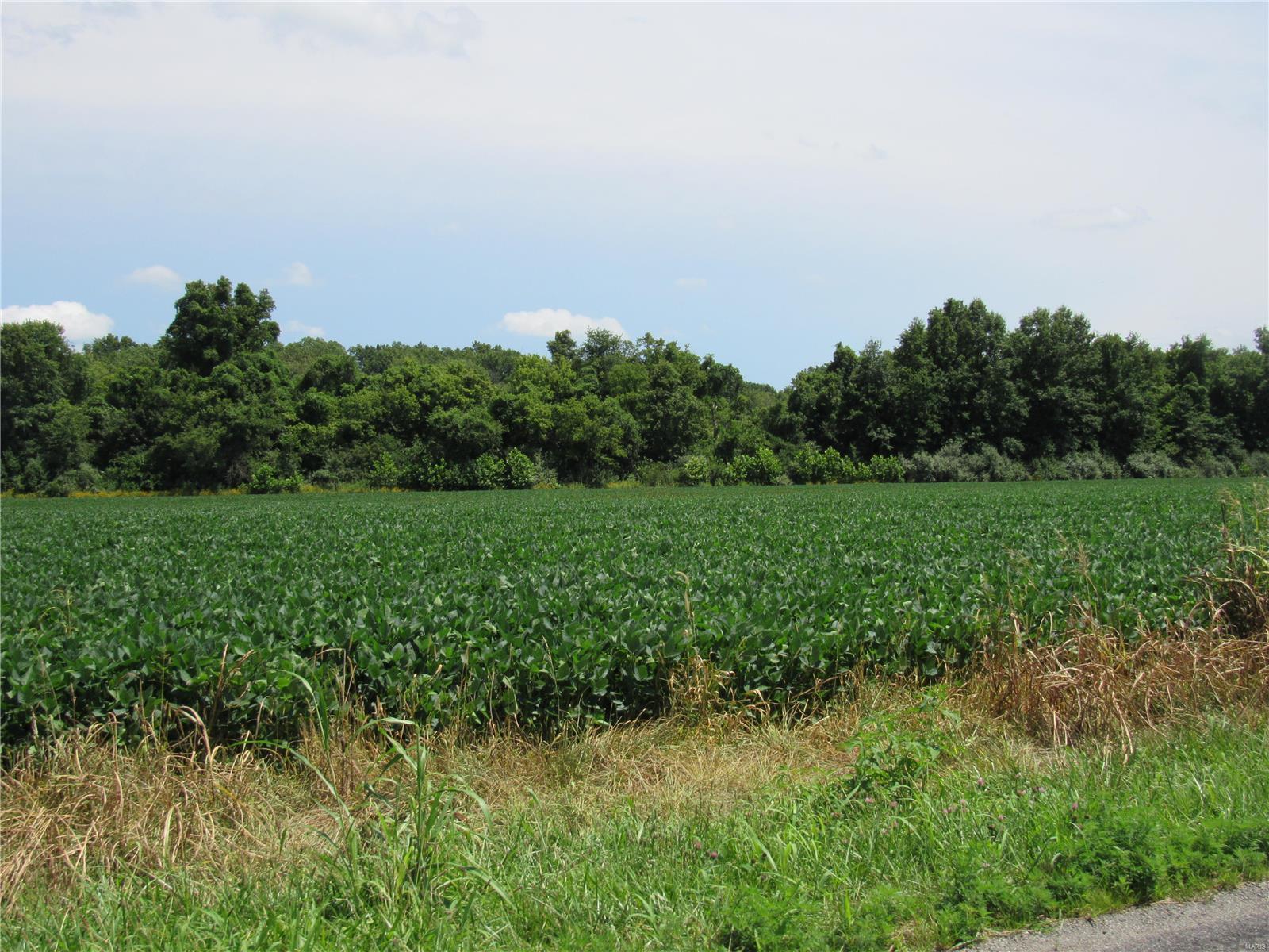 0 Wood Station Road Alton, IL 62002 - Photo 8 of 11