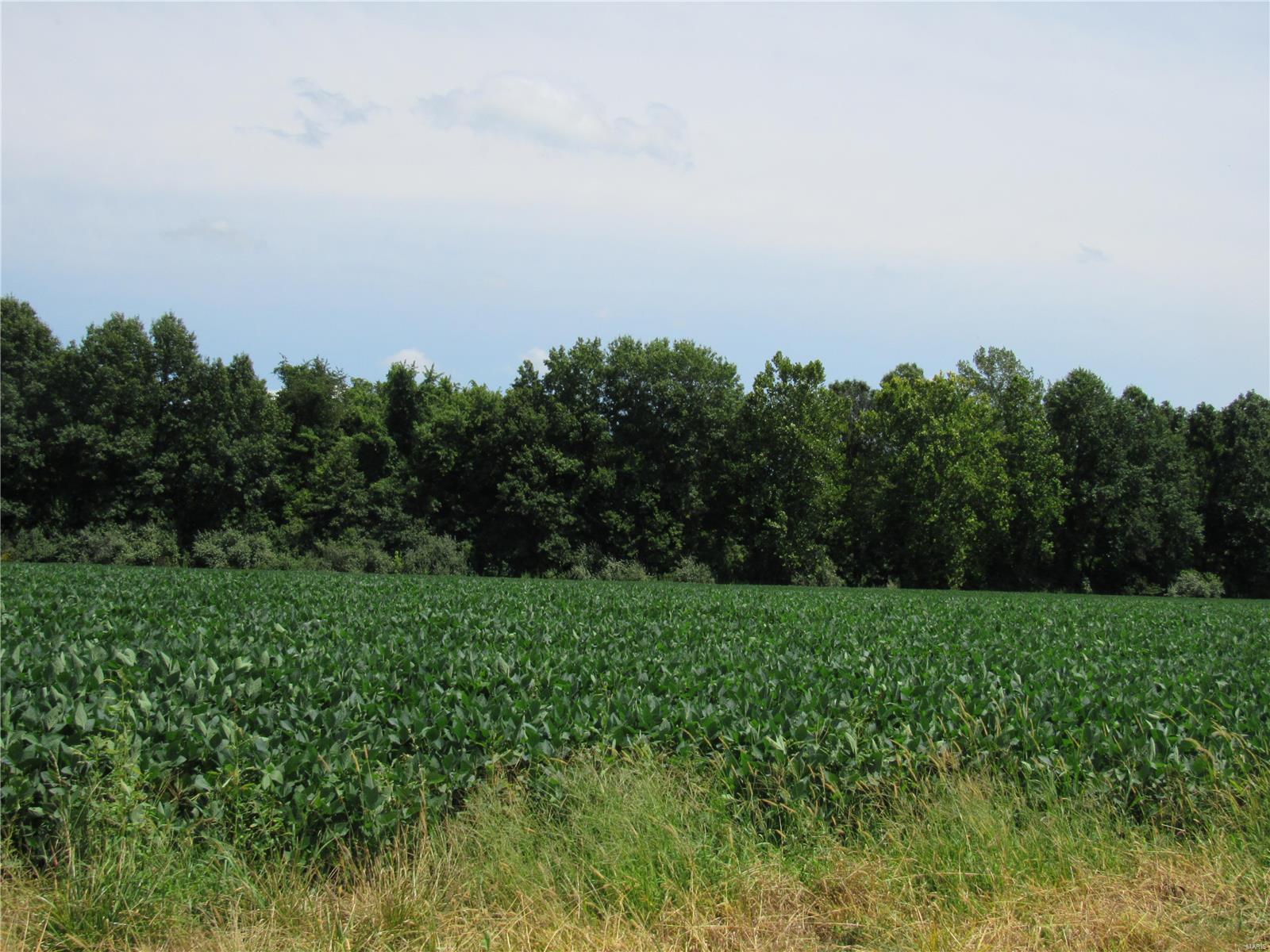 0 Wood Station Road Alton, IL 62002 - Photo 9 of 11