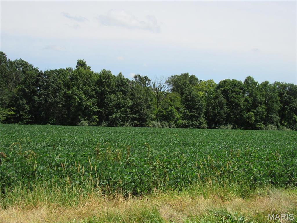 0 Wood Station Road Alton, IL 62002 - Photo 10 of 11
