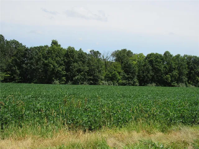 $832,000 | 0 Wood Station Road, Alton, IL 62002