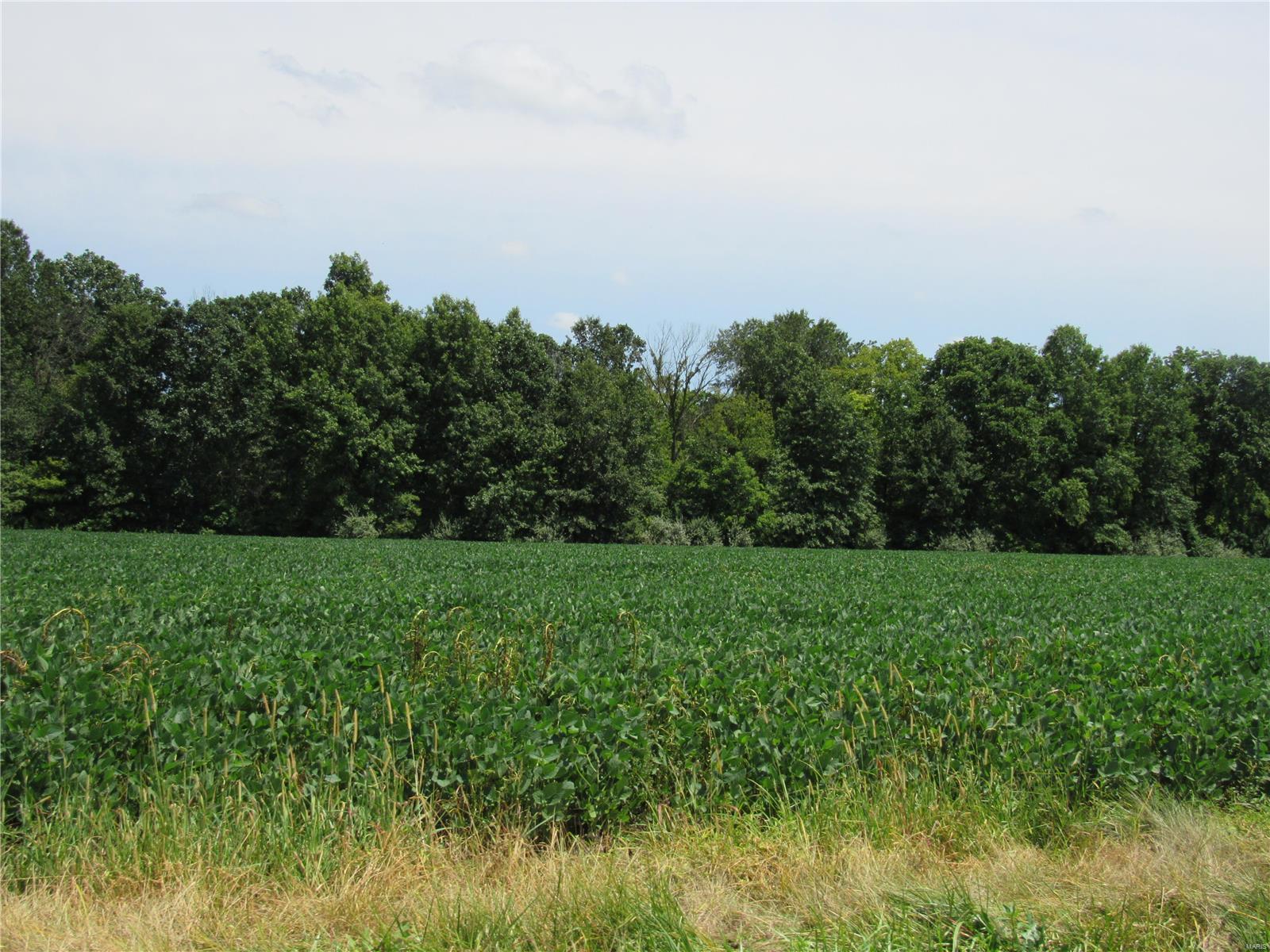 0 Wood Station Road Alton, IL 62002 - Photo 10 of 11