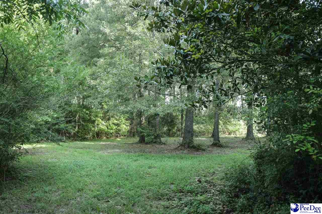 53-acres Old River Road Florence, SC 29505 - Photo 17 of 18 Gallery Image 17