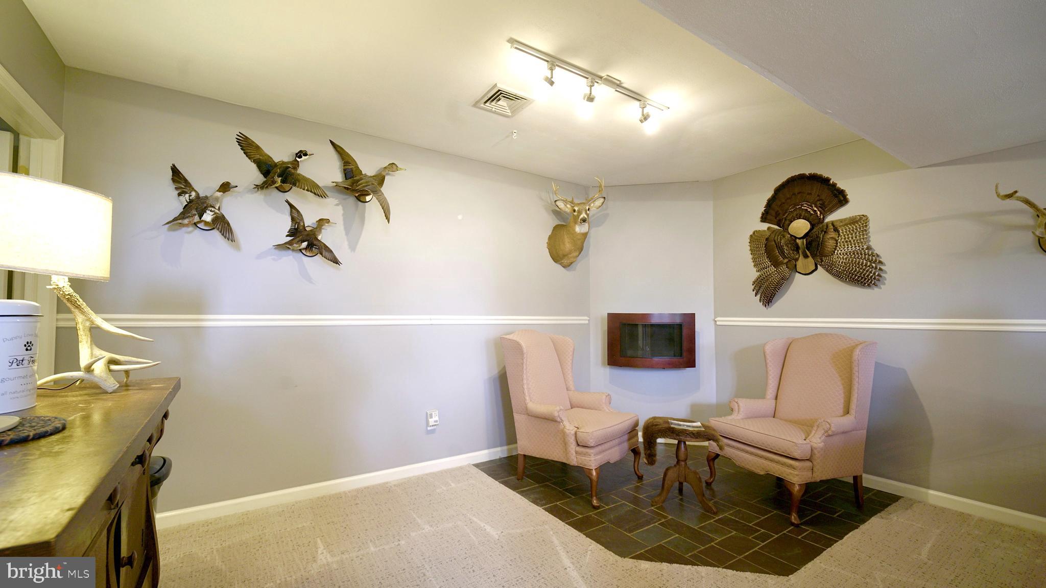 700 King Pen Road Kirkwood, PA 17536 - Photo 11 of 24 lower level seating