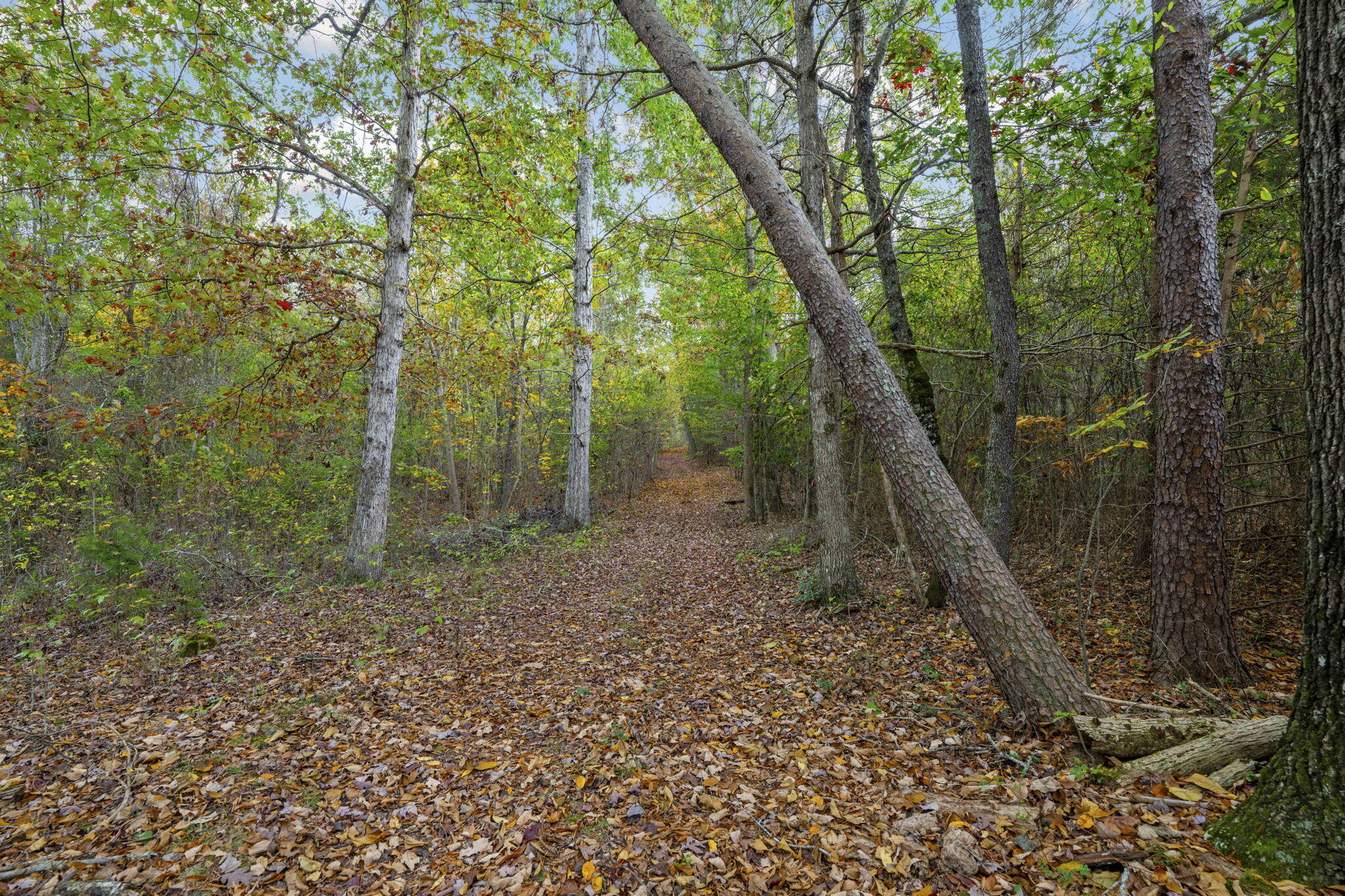 2565 Ringgold Road LaFayette, GA 30728 - Photo 28 of 28 28-web-or-mls-DSC_5345