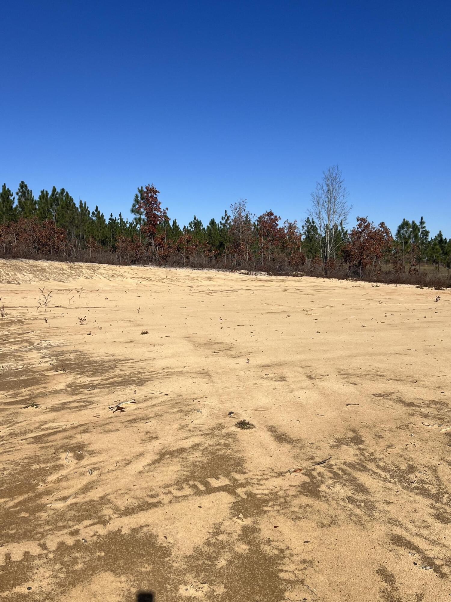 0 Old Chalk Bed Road, Unit 13 Batesburg, SC 29006 - Photo 8 of 8 Gallery Image 8