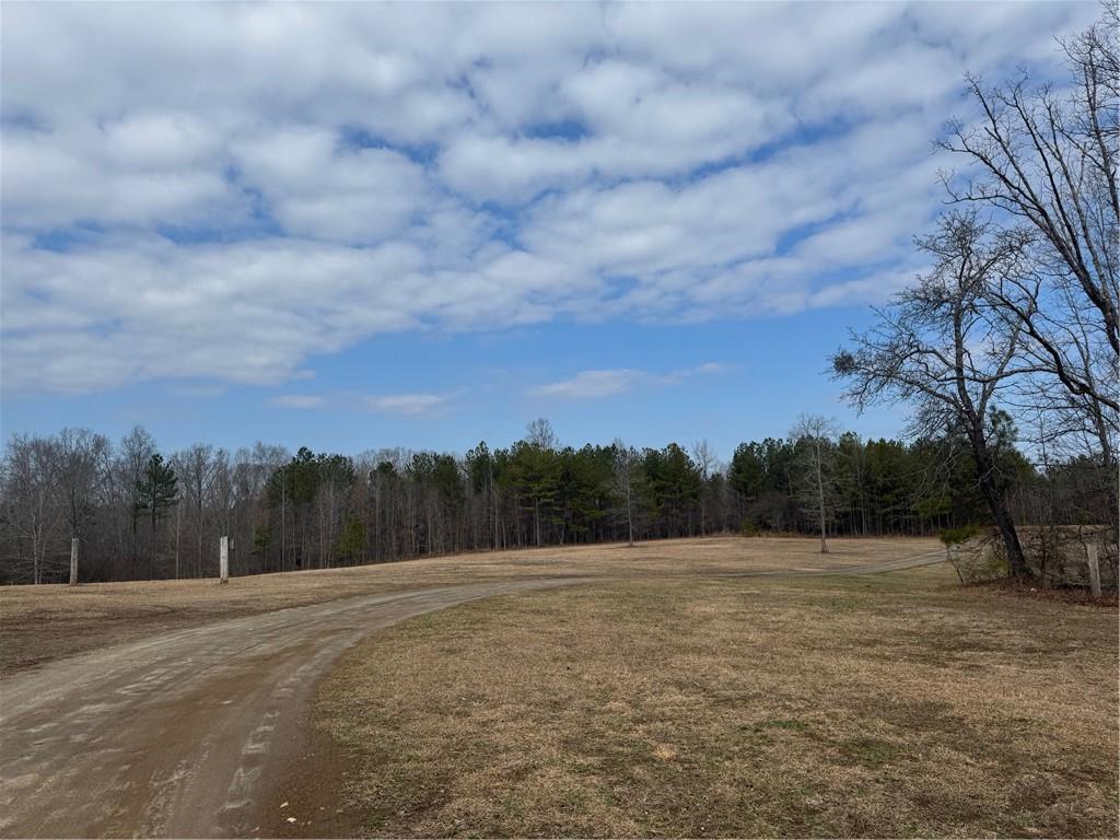 0 Benson Road Dallas, GA 30132 - Photo 2 of 42