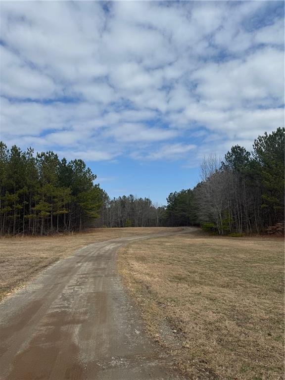 0 Benson Road Dallas, GA 30132 - Photo 3 of 42