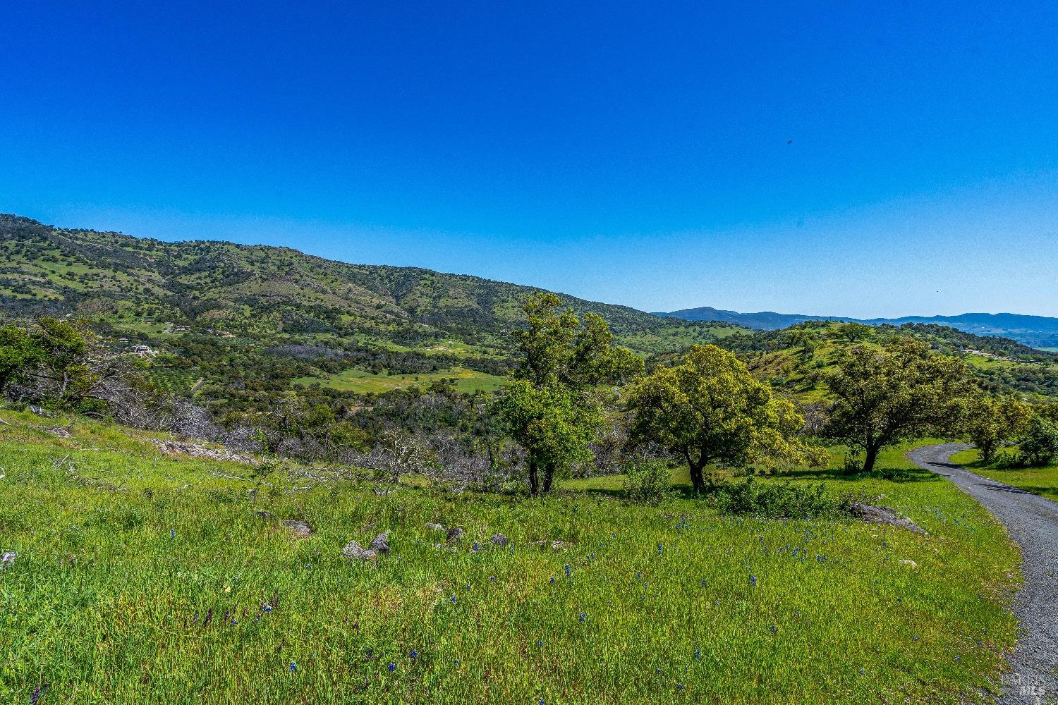 2077 Soda Canyon Road Napa, CA 94558 - Photo 12 of 26 a view of a lush green space with sea